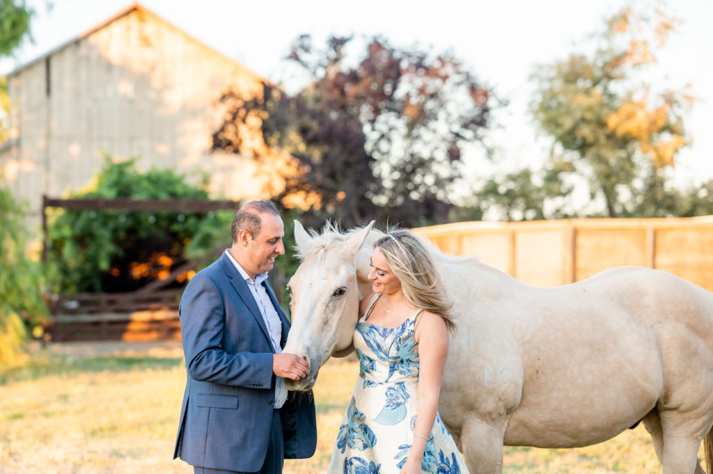 Couple petting a horse in a field during their family photo session at West 12 Ranch with Gia Chong Photography, Lodi CA photographer