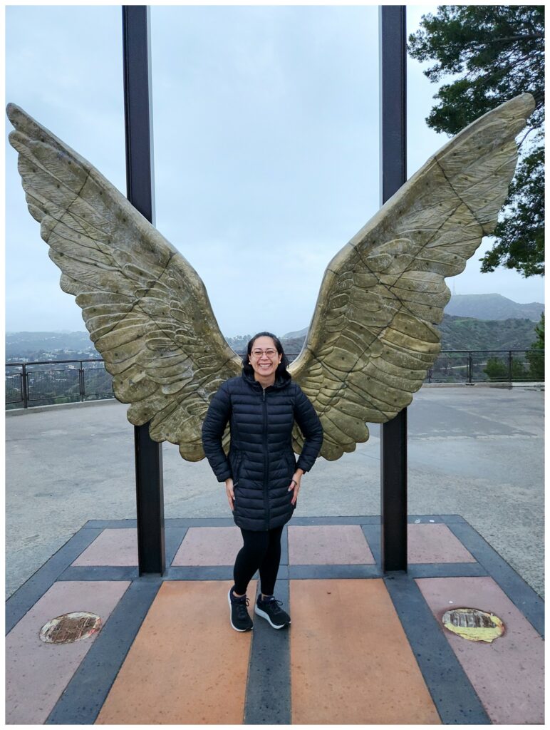 Angel wings at Griffin Observatory