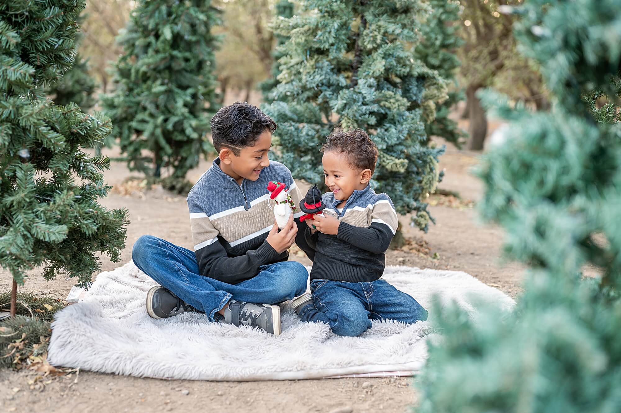 Brothers playing and laughing during their Christmas Tree Farm Session